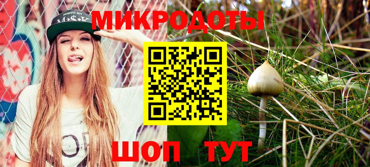 цена наркотик  Вход с VPN  Абинск  Галлюциногенные грибы Psilocybine cubensis 