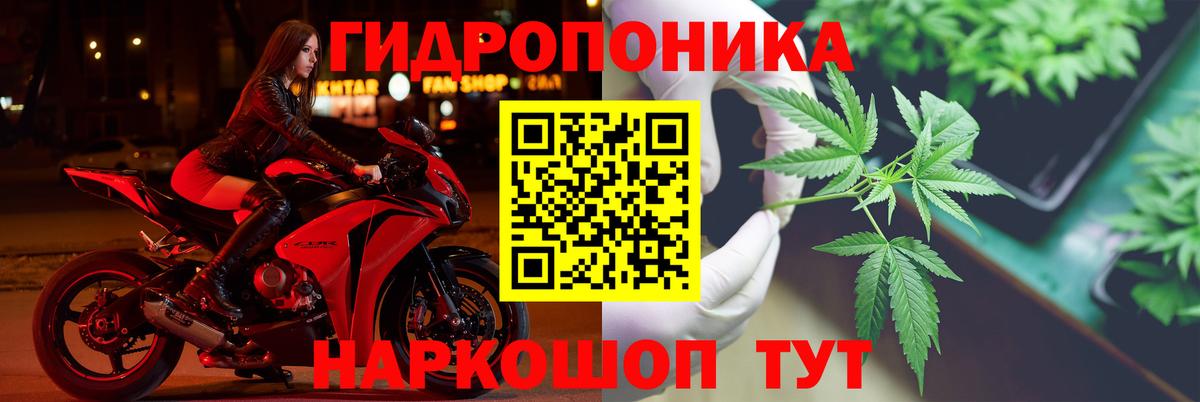 Каннабис семена Абинск